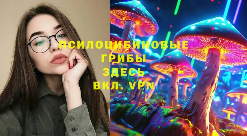 Галлюциногенные грибы MAGIC MUSHROOMS  это официальный сайт  Красный Холм  купить наркотик 